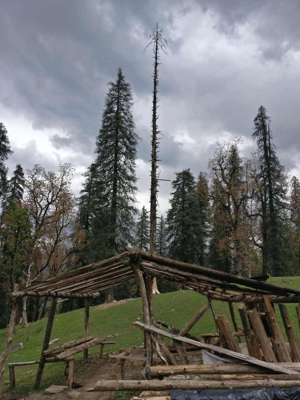 Photo of Kedarkanta - my first trek by Sharad Pandey