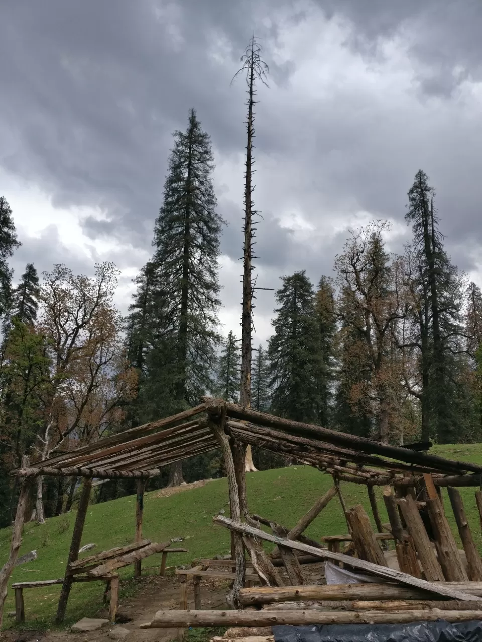 Photo of Kedarkanta - my first trek by Sharad Pandey