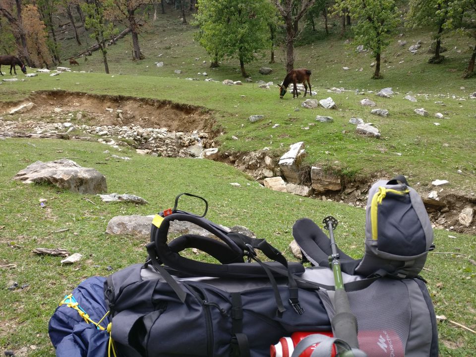 Photo of Kedarkanta - my first trek by Sharad Pandey