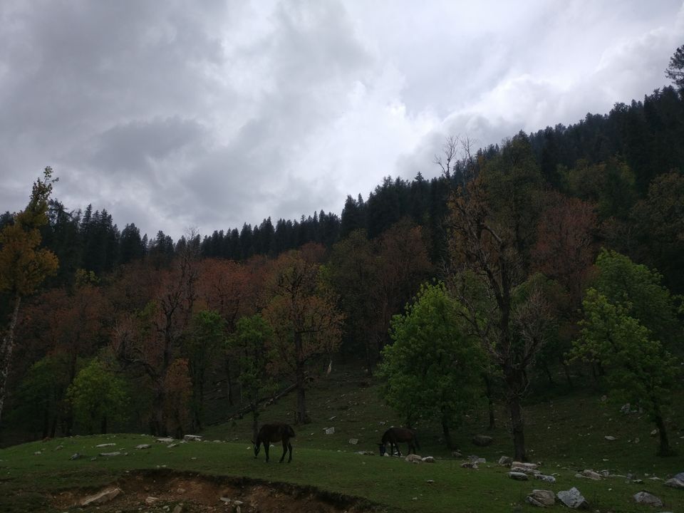 Photo of Kedarkanta - my first trek by Sharad Pandey
