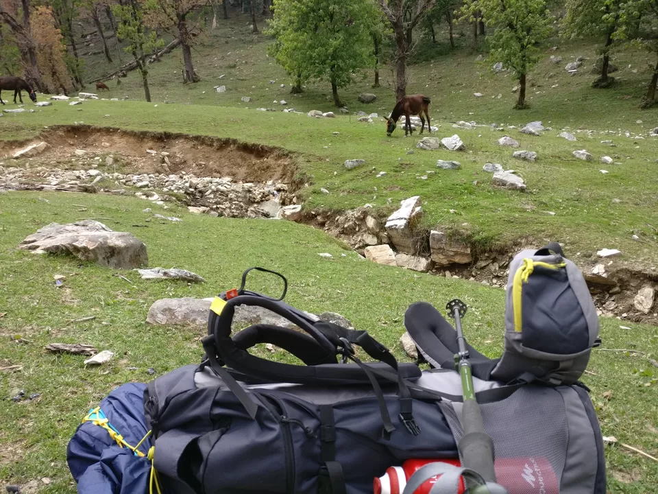 Photo of Kedarkanta - my first trek by Sharad Pandey