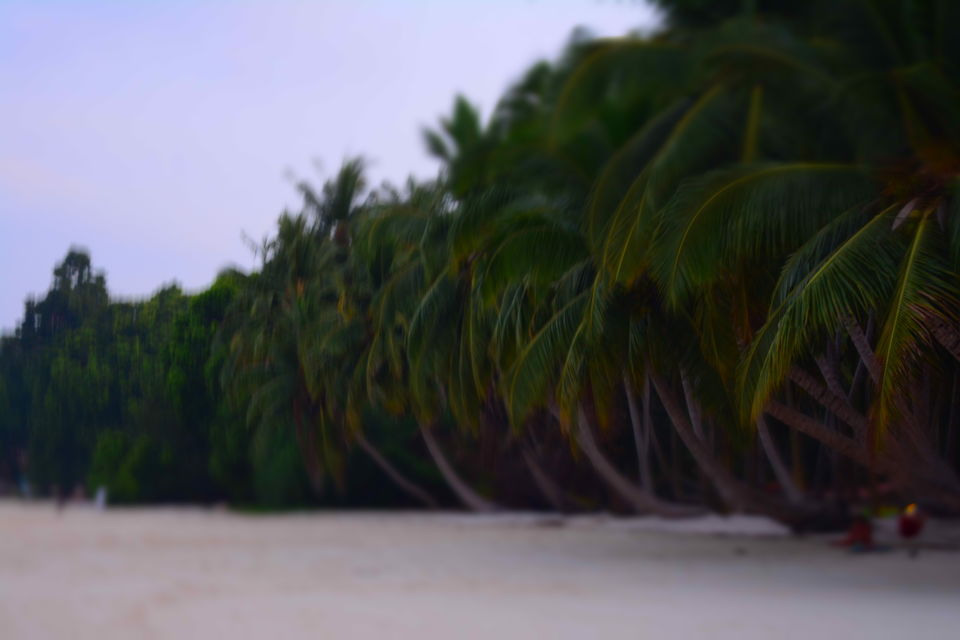 Photo of Havelock Island, South Andaman, Andaman and Nicobar Islands, India by Pavithra Paulraj