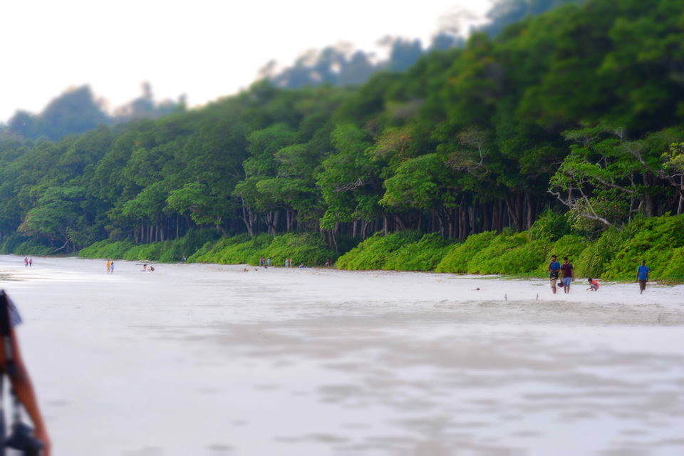 Photo of Havelock Island, South Andaman, Andaman and Nicobar Islands, India by Pavithra Paulraj