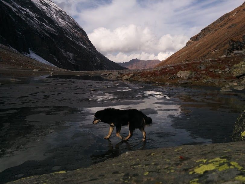 Photo of Trek in Himachal - A trip of many firsts! 6/13 by Steshia Monserrate
