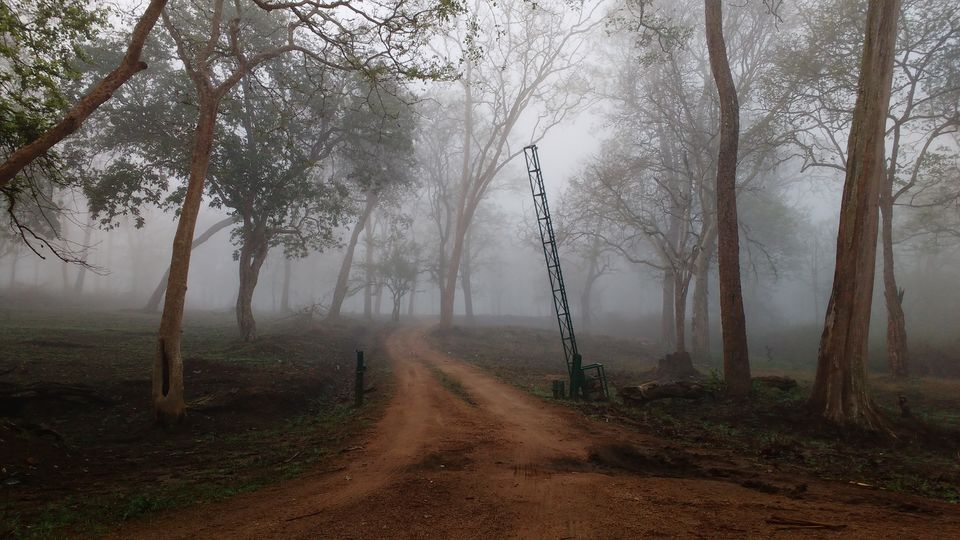 Photo of Kipling's Dream | Kabini 1/1 by Hussain Harianawala