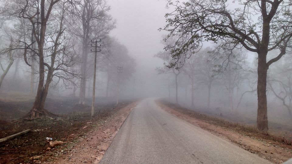 Photo of Nagarhole Tiger Reserve, Nalkeri Forest, Karnataka, India by Hussain Harianawala