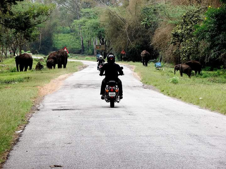 Photo of Kipling's Dream | Kabini by Hussain Harianawala