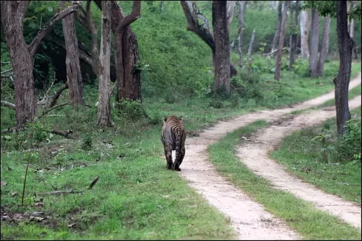 Photo of Kipling's Dream | Kabini by Hussain Harianawala