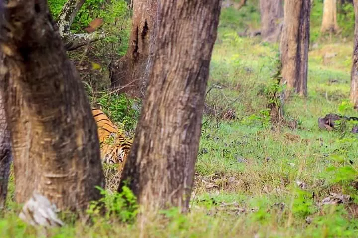 Photo of Kipling's Dream | Kabini by Hussain Harianawala