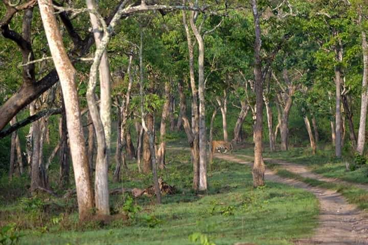 Photo of Kipling's Dream | Kabini by Hussain Harianawala