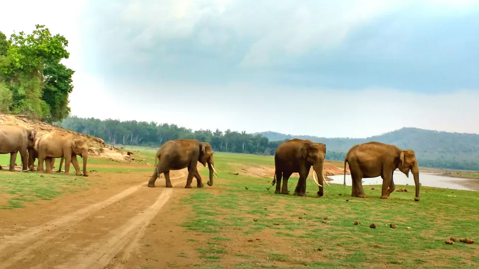 Photo of Kipling's Dream | Kabini by Hussain Harianawala