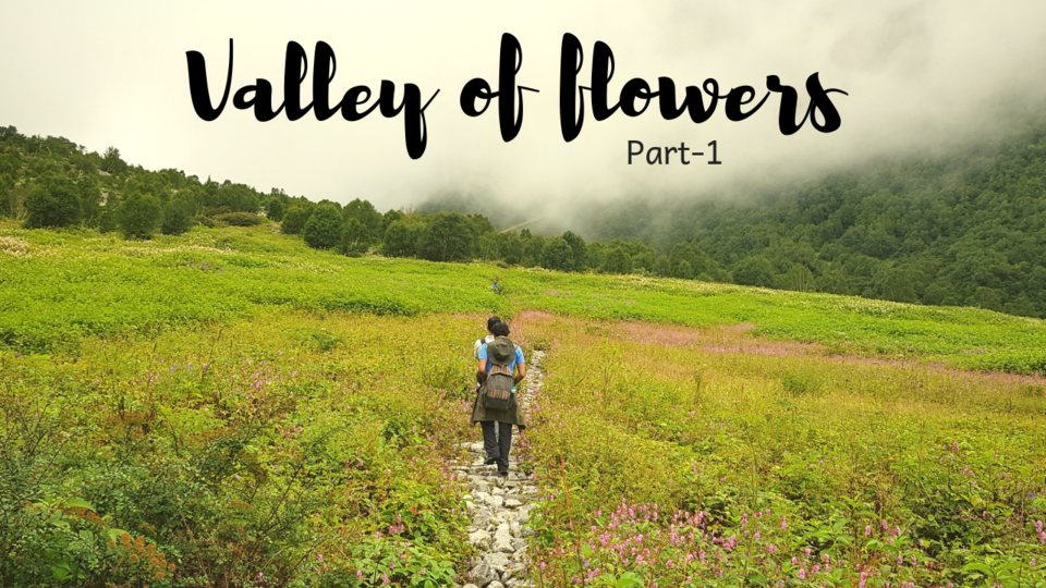 Photo of Valley of flowers - A special one by Naman singhal