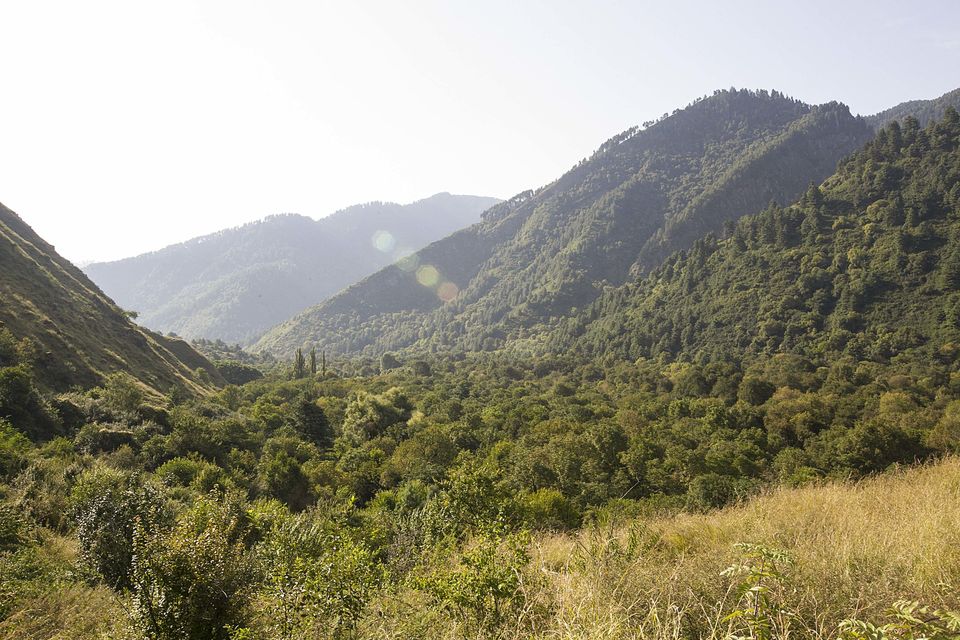 Photo of Dachigam National Park, Srinagar by Mayank Soni