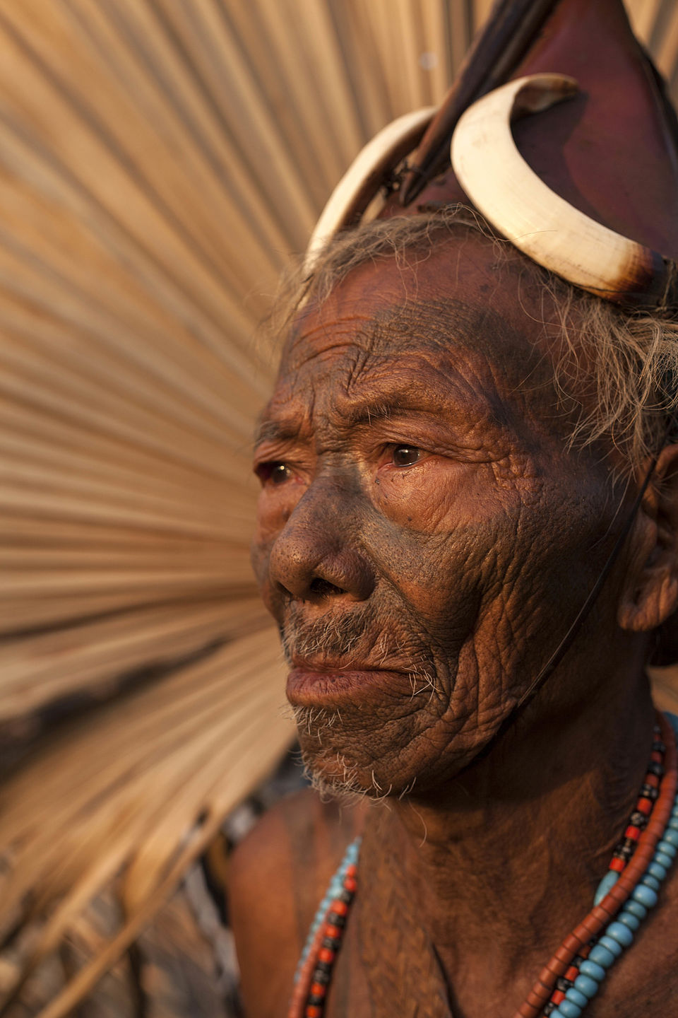 Photo of A peek at Nagaland’s headhunting tribe (Konyaks) 15/15 by Mayank Soni