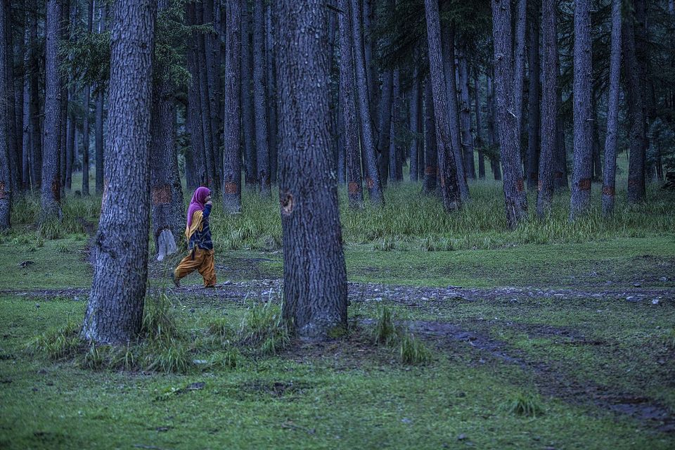 Photo of Kashmir’s Enchanted Valley, Lolab 1/6 by Mayank Soni