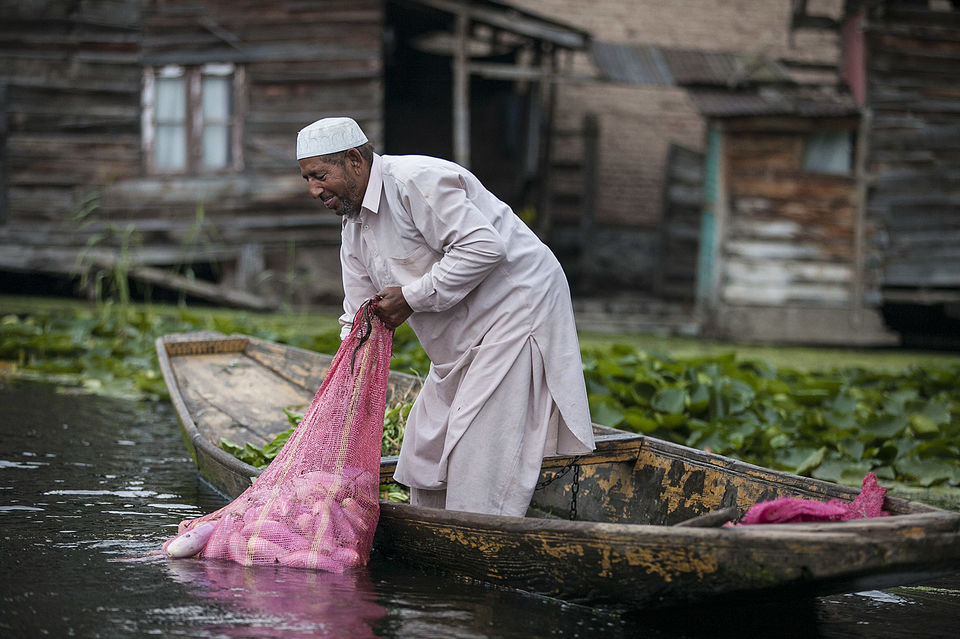 Photo of Kashmir's famous floating market 1/10 by Mayank Soni