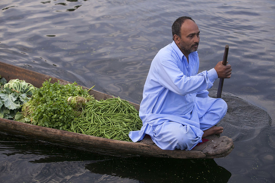 Photo of Kashmir's famous floating market 5/10 by Mayank Soni