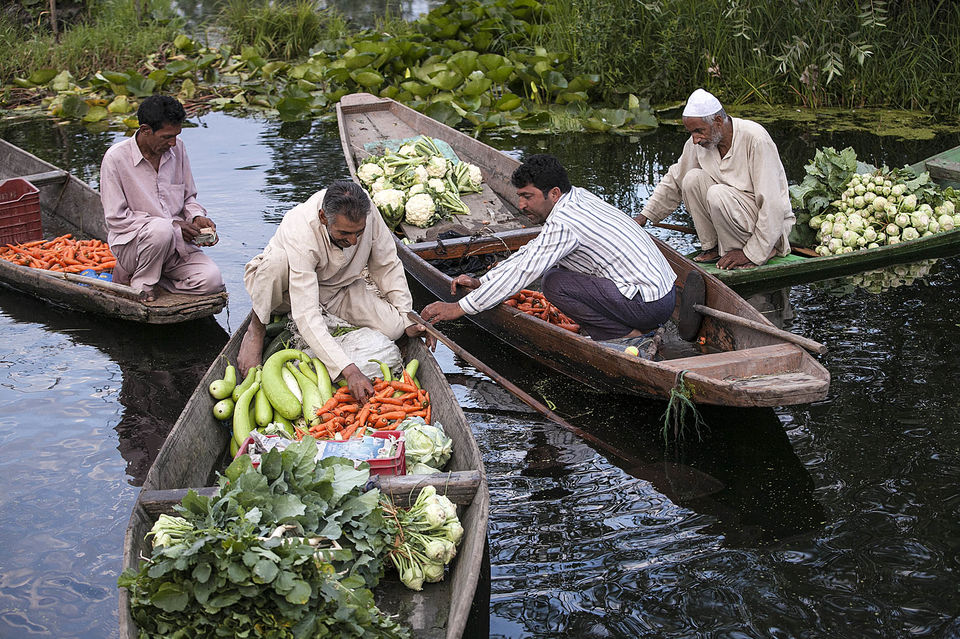 Photo of Kashmir's famous floating market 6/10 by Mayank Soni