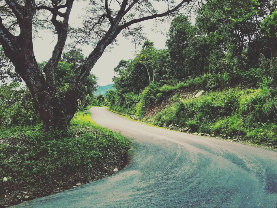 Photo of Namchi, Sikkim, India by Pamela Roy