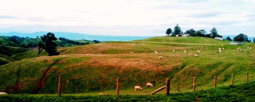 Photo of Hobbiton - 'The Lord of the Rings' and 'The Hobbit' Movie Set 4/16 by tripsygirl