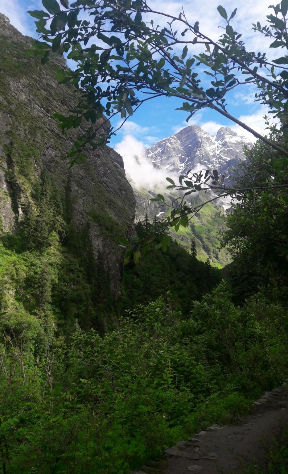 Photo of Valley of flowers uttrakhand by Nomad
