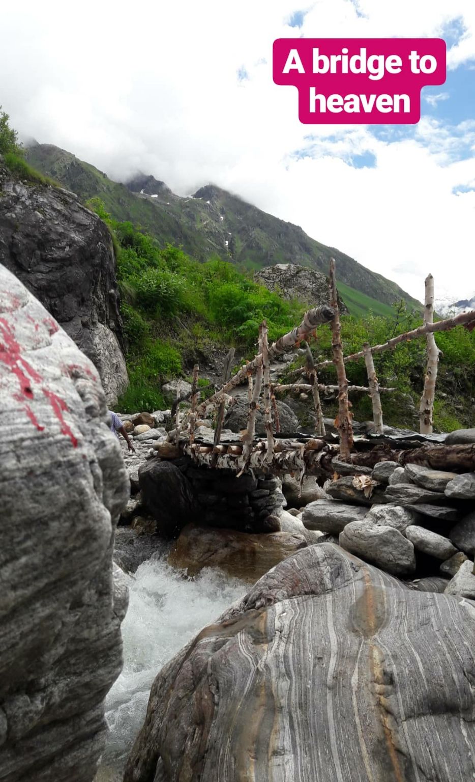 Photo of Valley of flowers uttrakhand by Nomad
