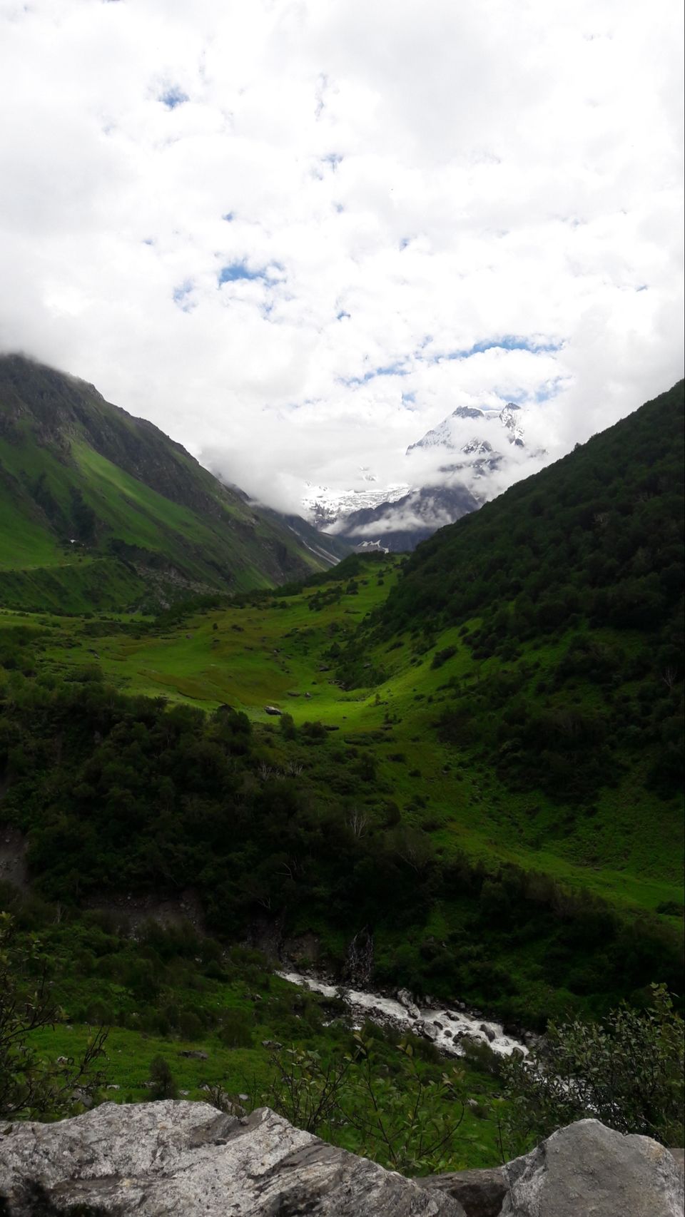 Photo of Valley of flowers uttrakhand by Nomad