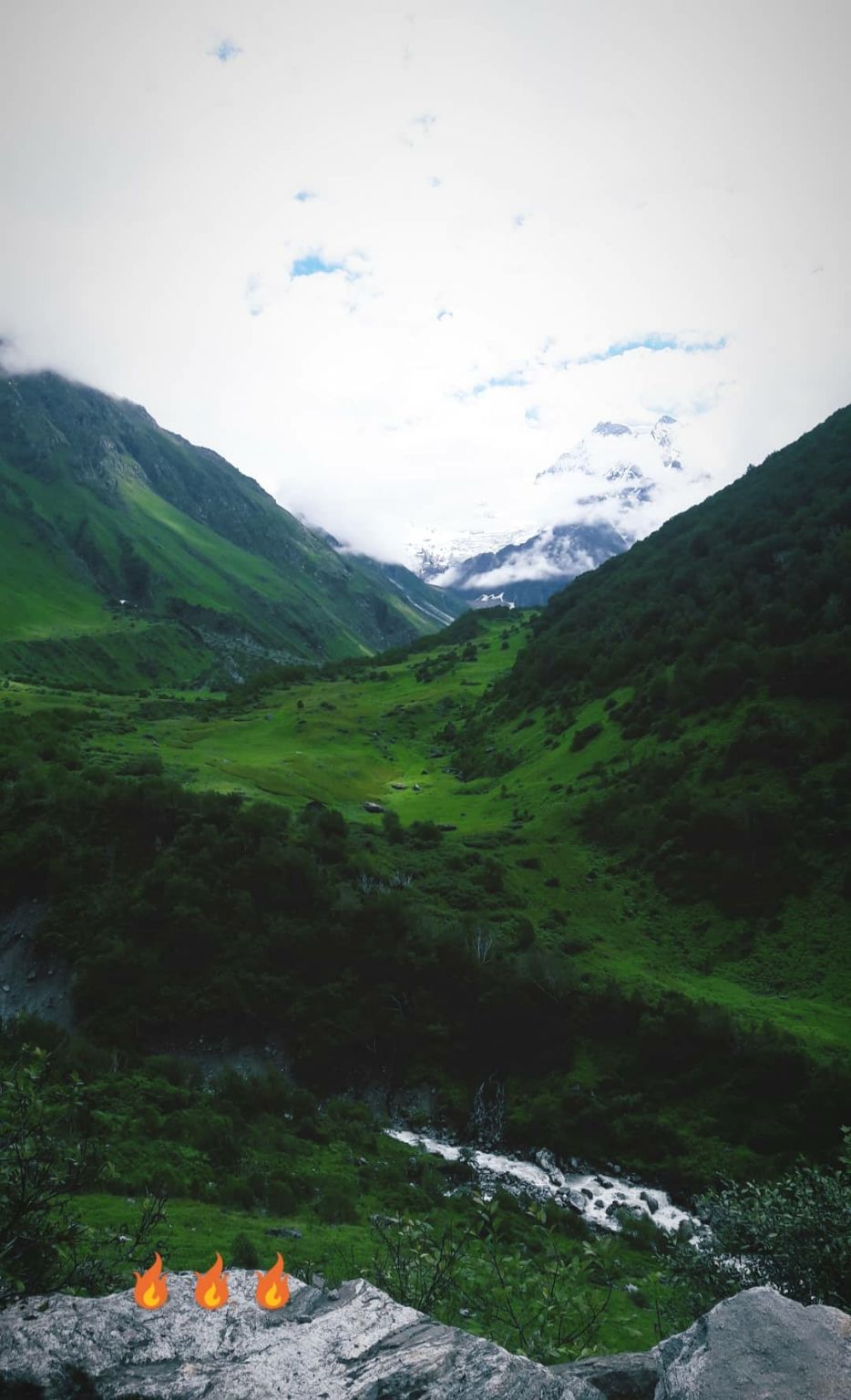 Photo of Valley of flowers uttrakhand by Nomad