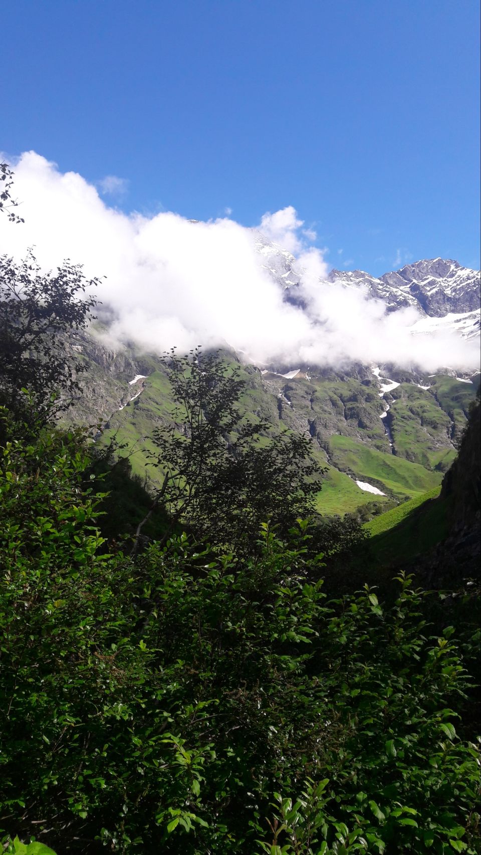 Photo of Valley of flowers uttrakhand by Nomad