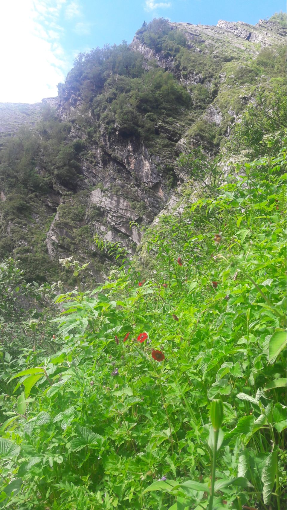 Photo of Valley of flowers uttrakhand by Nomad