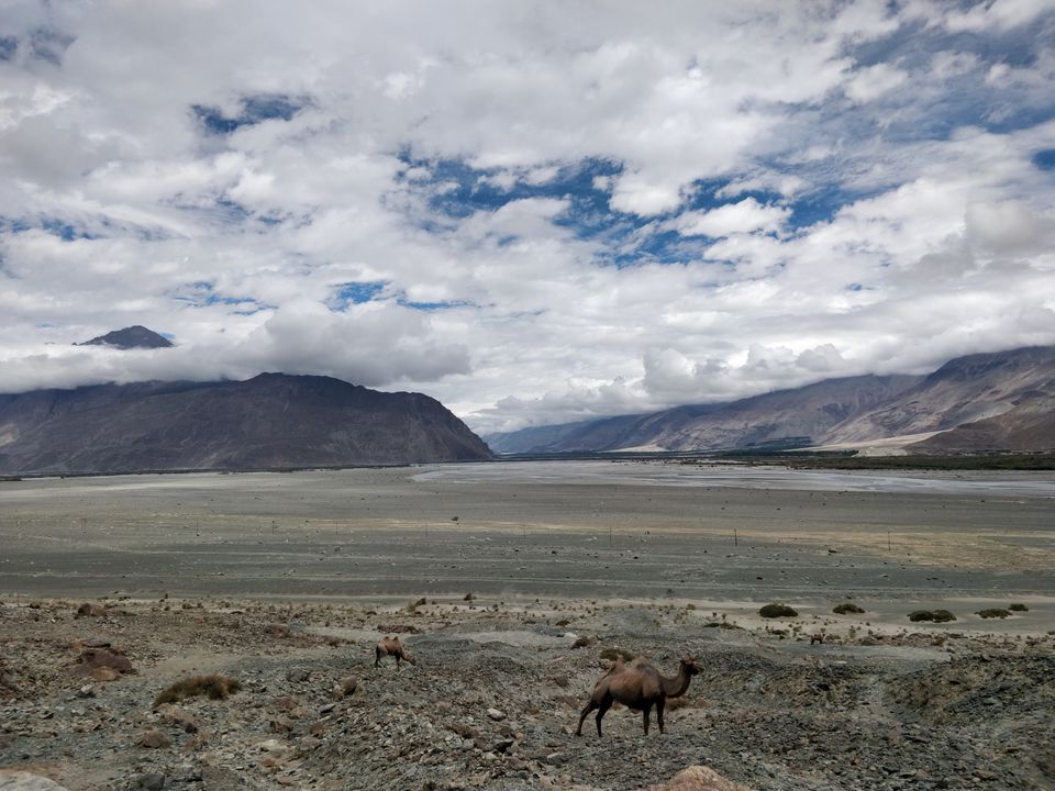 Photo of Pangong Lake by Rahat Sareen