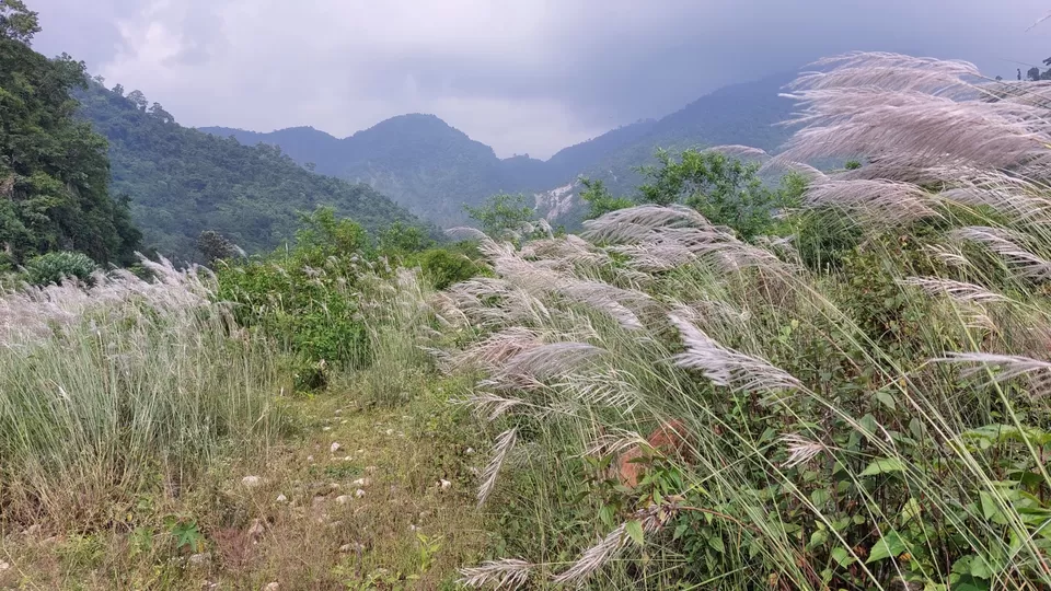 Photo of "देहरादून" - मालदेवता की पहाड़ियां by Subodh Painuly