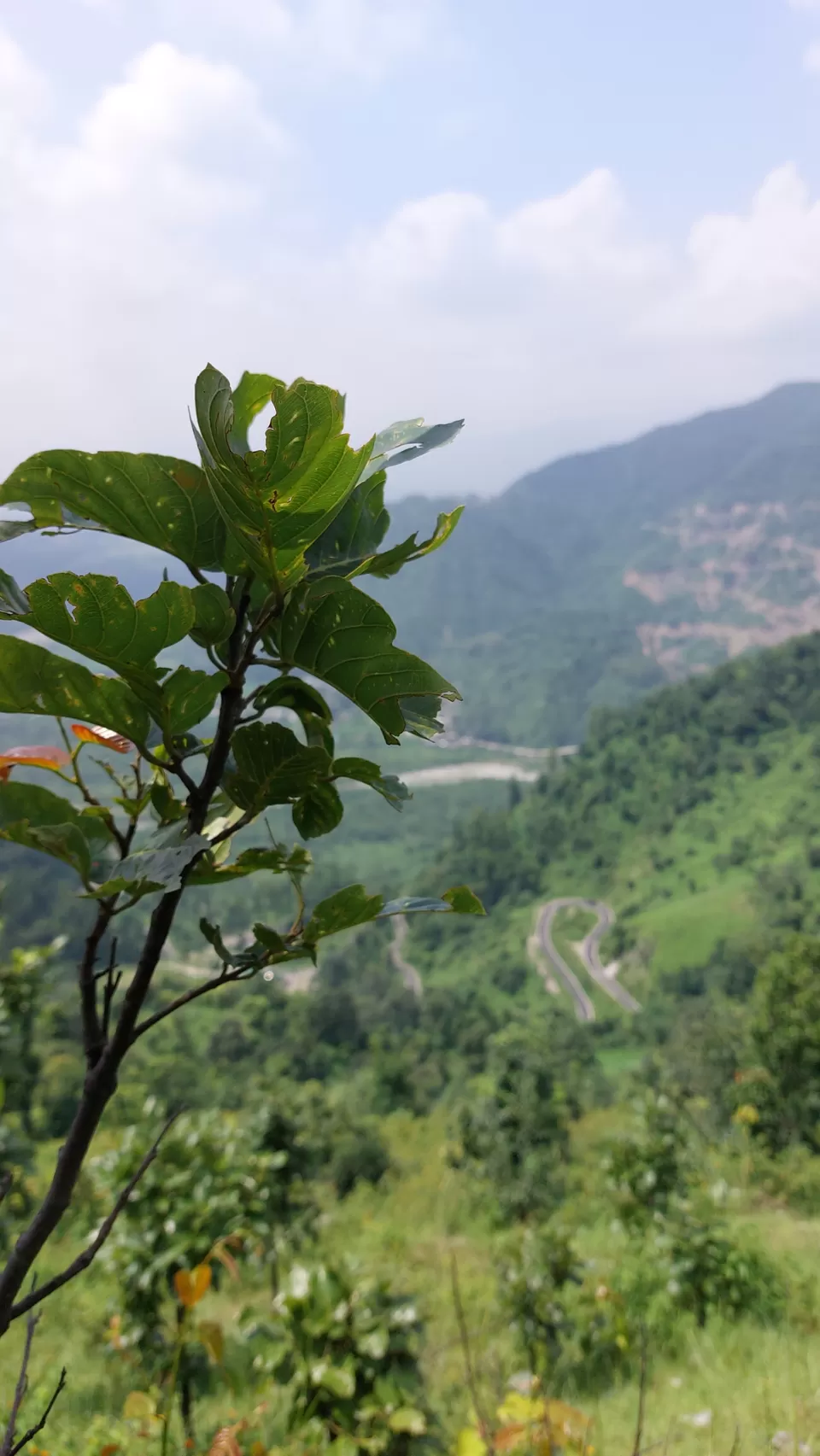 Photo of "देहरादून" - मालदेवता की पहाड़ियां by Subodh Painuly