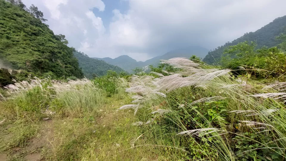 Photo of "देहरादून" - मालदेवता की पहाड़ियां by Subodh Painuly