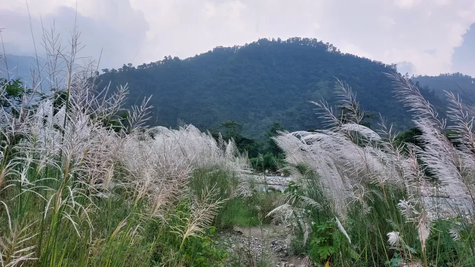 Photo of "देहरादून" - मालदेवता की पहाड़ियां by Subodh Painuly