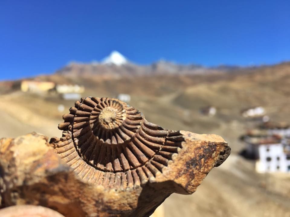Photo of Spiti Valley is the Fossil park of the Himalayas. 1/3 by Ankit Karki