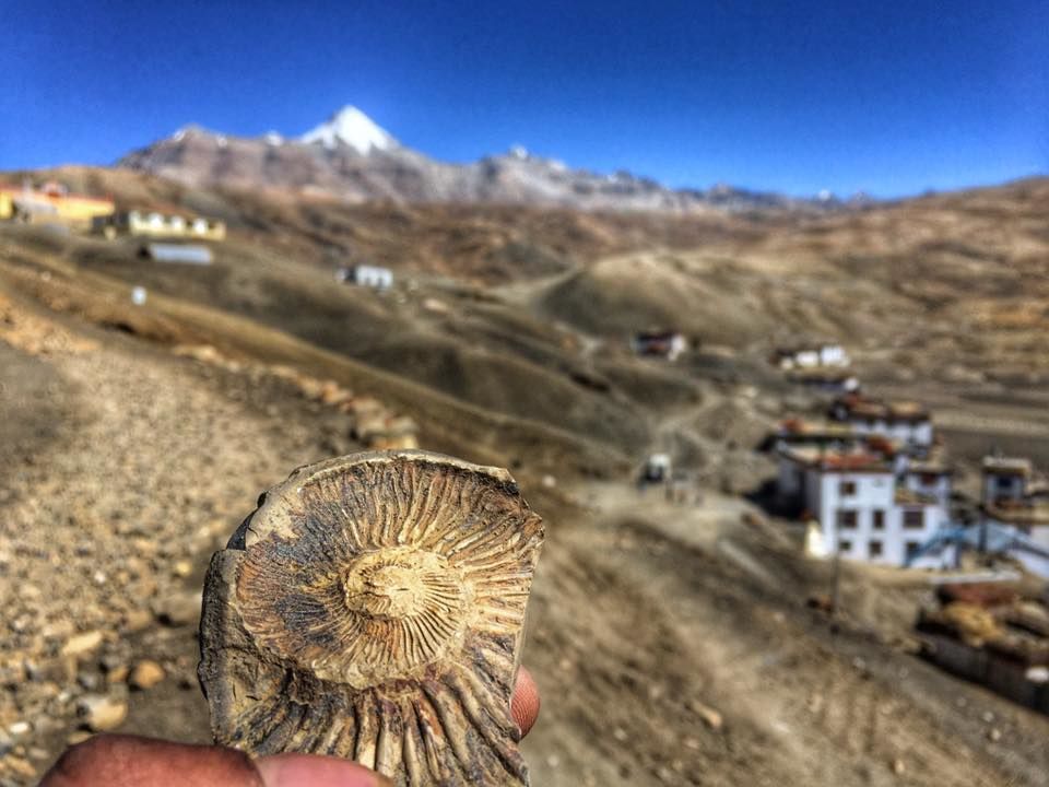 Photo of Spiti Valley is the Fossil park of the Himalayas. 2/3 by Ankit Karki