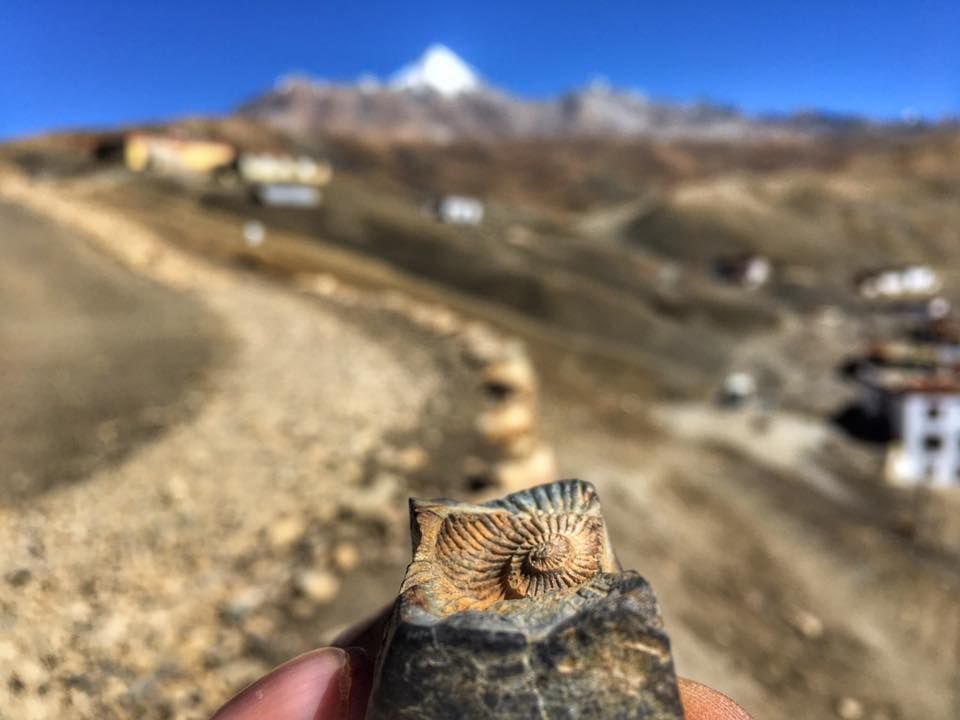 Photo of Spiti Valley is the Fossil park of the Himalayas. 3/3 by Ankit Karki