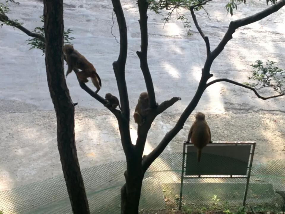 Photo of Himalayan Expressway Toll Plaza, Chandigarh Kalka Road, Chandimandir Cantonment, Panchkula, Haryana, India by Preeti Rajput
