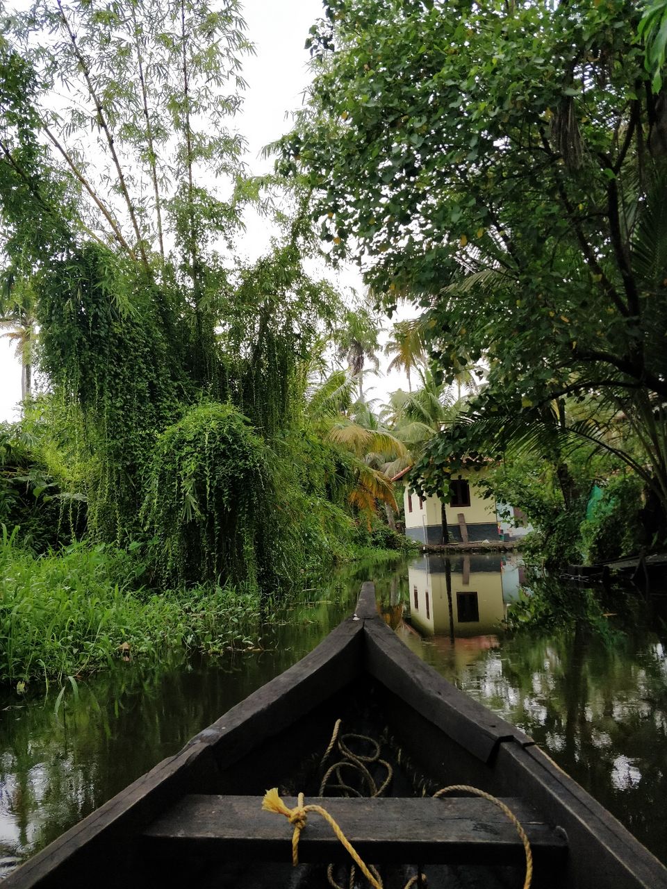 Photo of Alleppey, Kerala, India by Kashish Khan