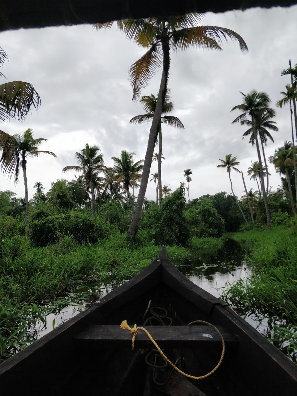 Photo of Alleppey, Kerala, India by Kashish Khan