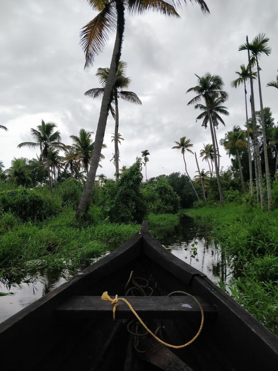Photo of Alleppey, Kerala, India by Kashish Khan