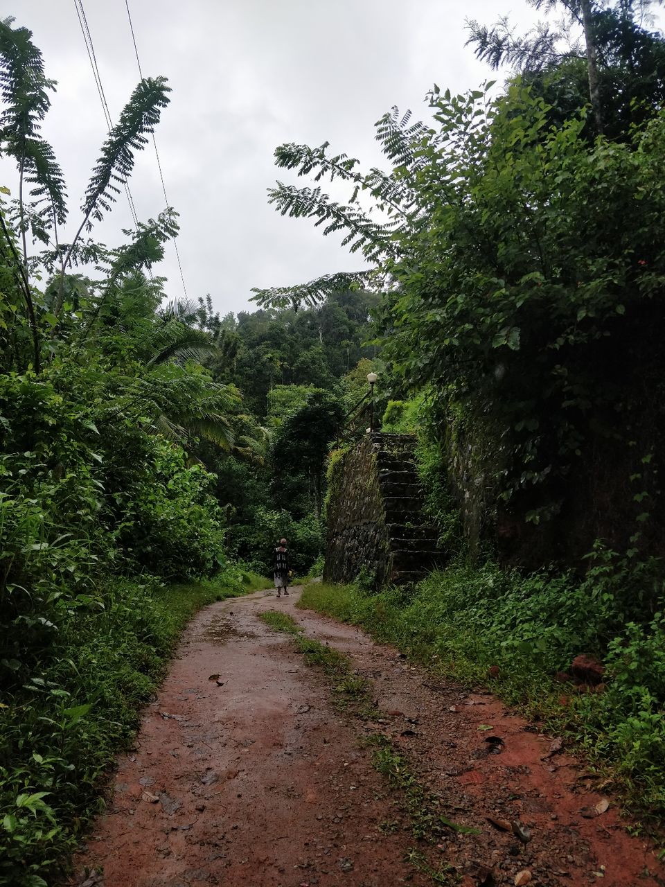 Photo of Munnar, Kerala, India by Kashish Khan
