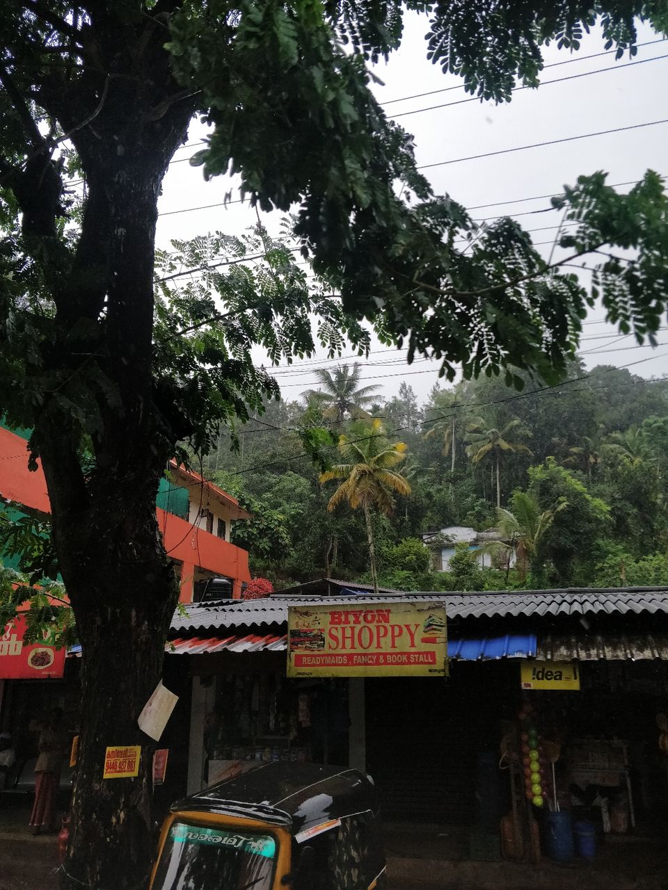 Photo of Munnar, Kerala, India by Kashish Khan