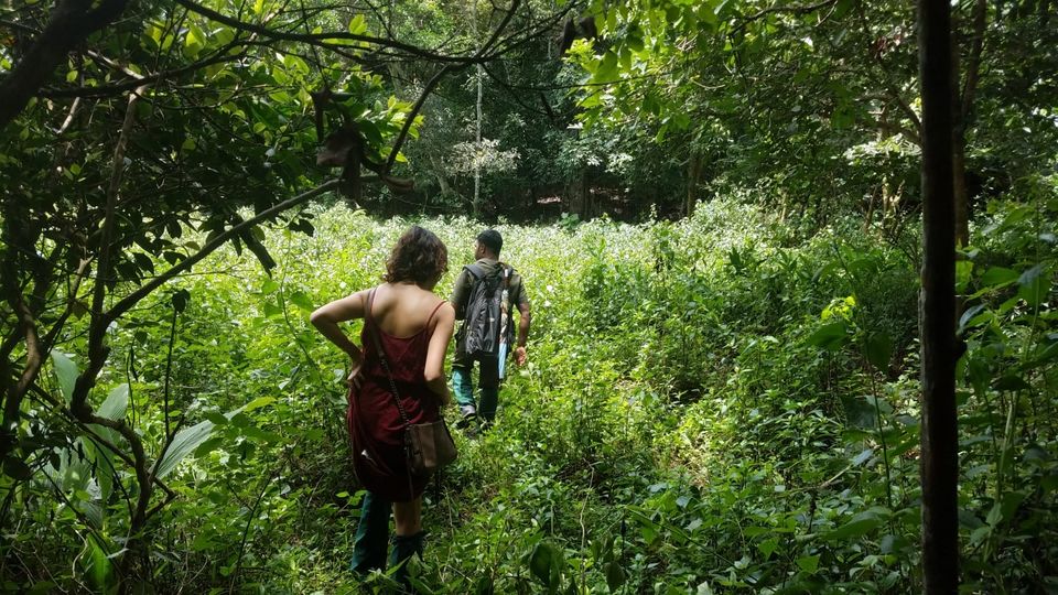 Photo of Thekkady, Kumily, Kerala, India by Kashish Khan
