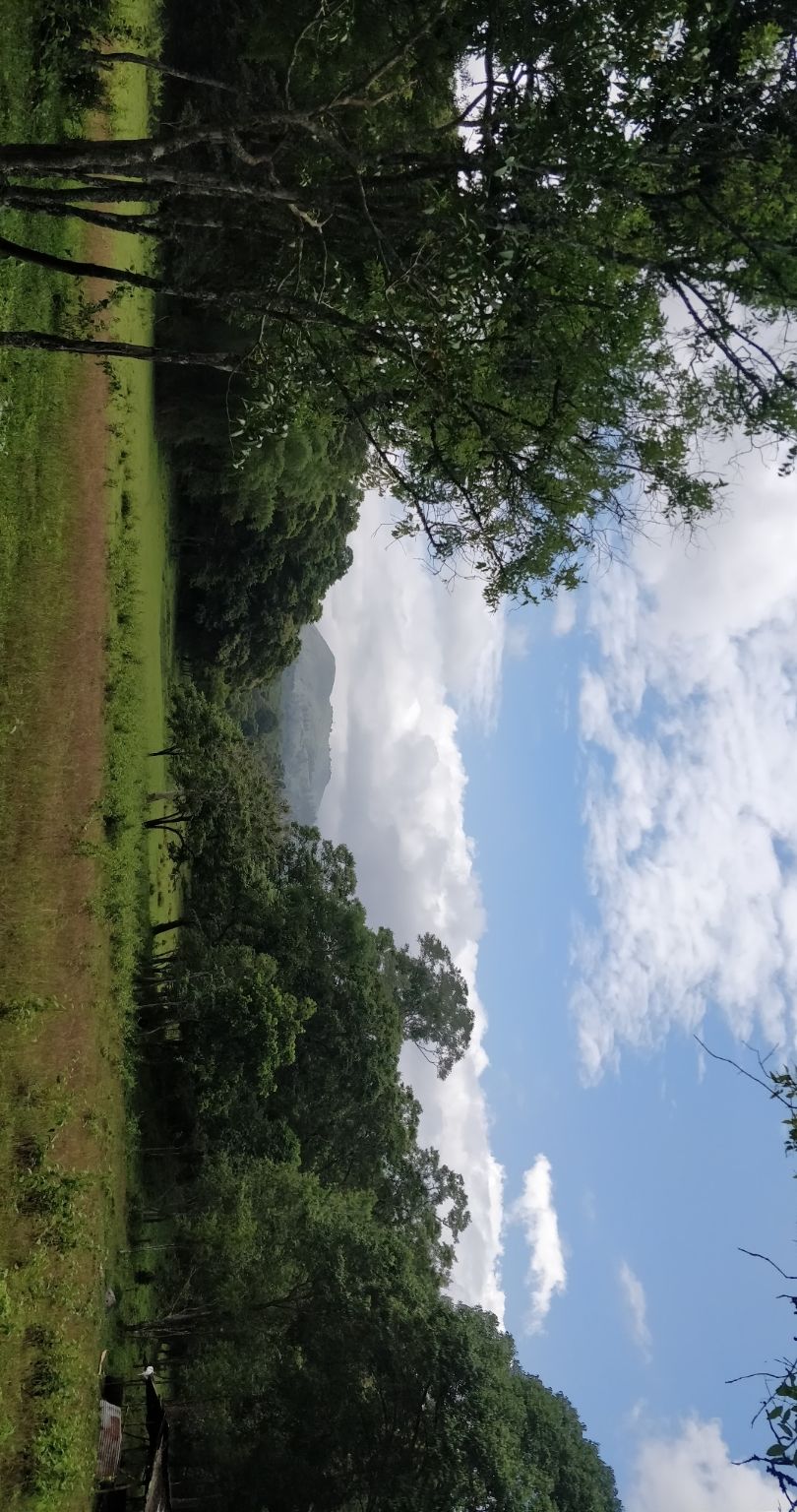 Photo of Thekkady, Kumily, Kerala, India by Kashish Khan