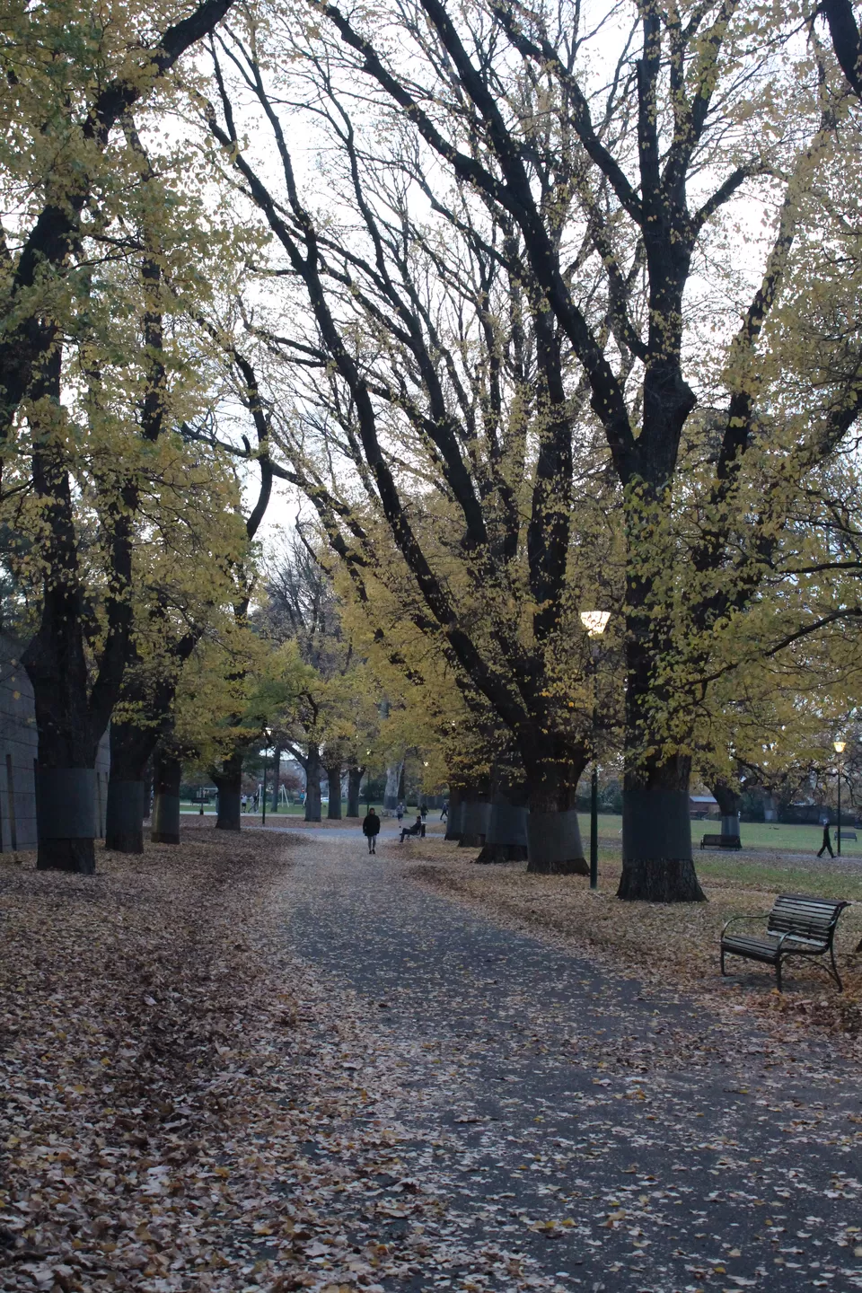 Photo of Carlton Gardens, Carlton VIC, Australia by Preksha Sachdeva