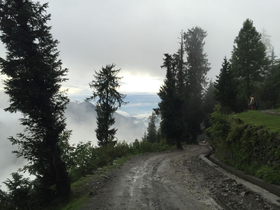 Photo of Trek to undiscovered beauty, Jalori Pass,Kullu 1/1 by Preksha Sachdeva