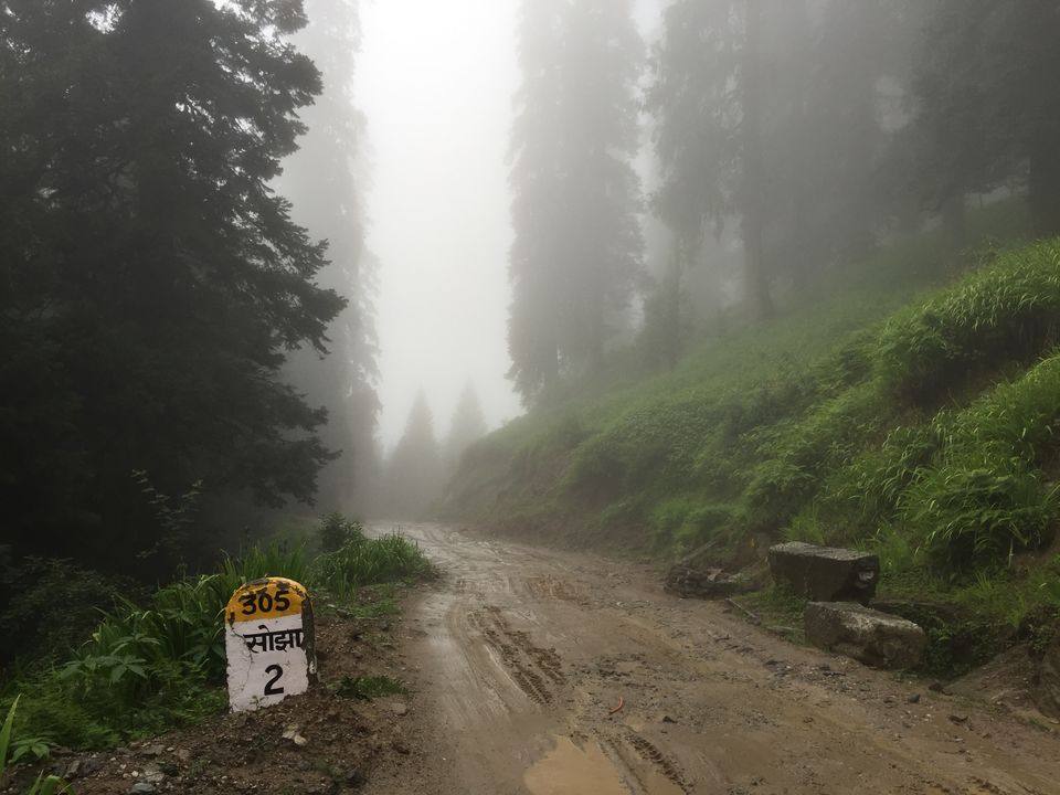 Photo of Trek to undiscovered beauty, Jalori Pass,Kullu by Preksha Sachdeva
