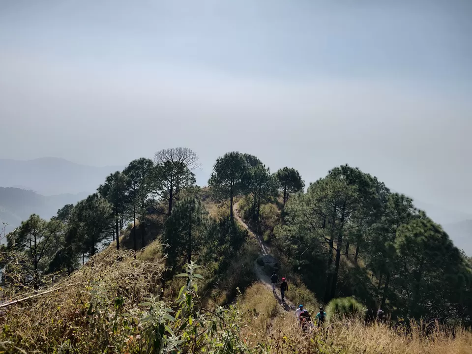 Photo of Gilbert Trail, Kasauli, Himachal Pradesh, India by Prerika Gupta